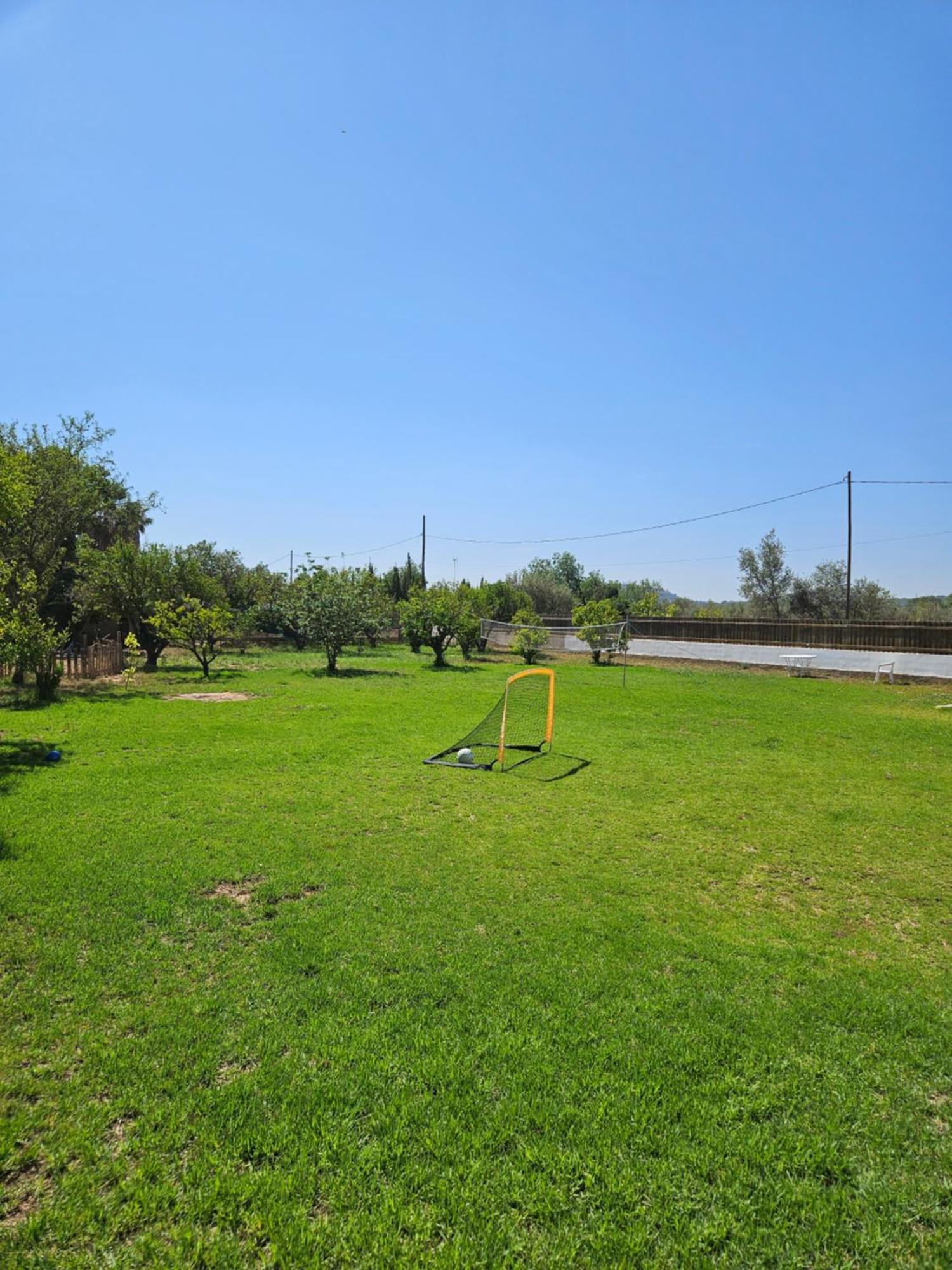 Large Yard, Large Lawn, Independent