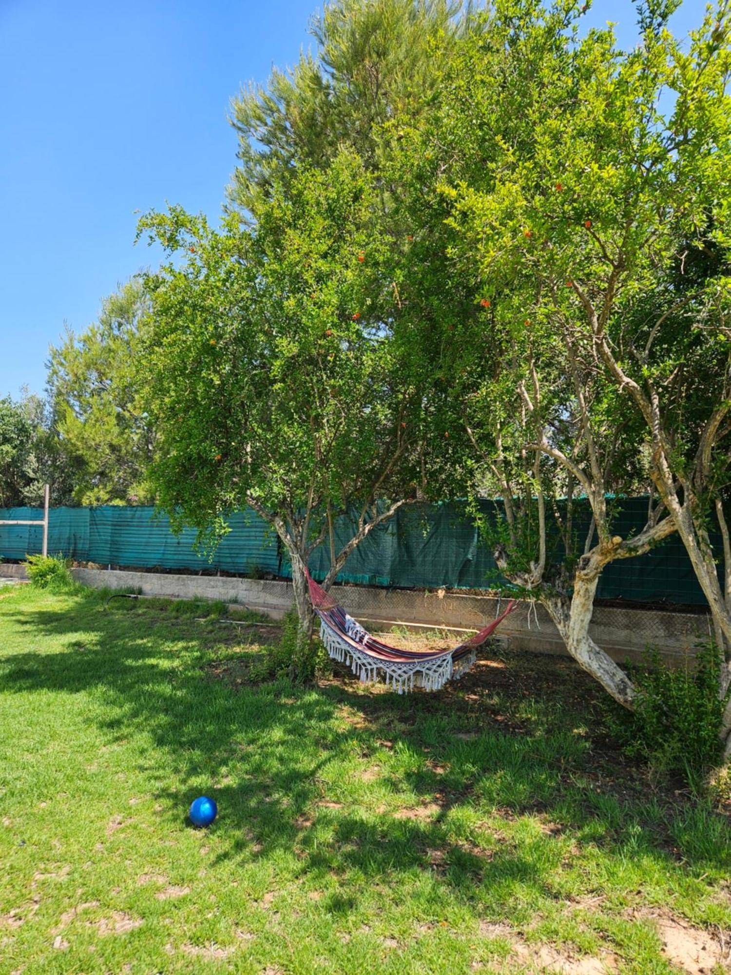 Large Yard, Large Lawn, Independent Lliria